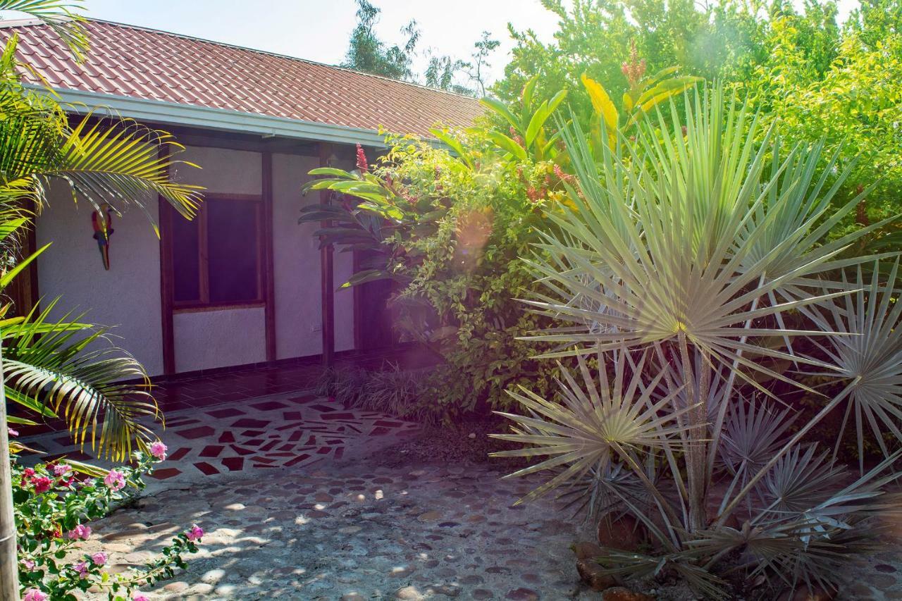 וילה-וייחה Hostal El Ruby מראה חיצוני תמונה